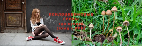 первитин Вязники