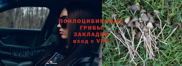 ECSTASY Волосово