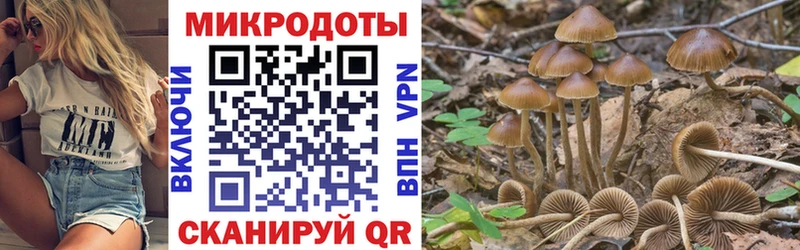 Галлюциногенные грибы мухоморы  Лыткарино 